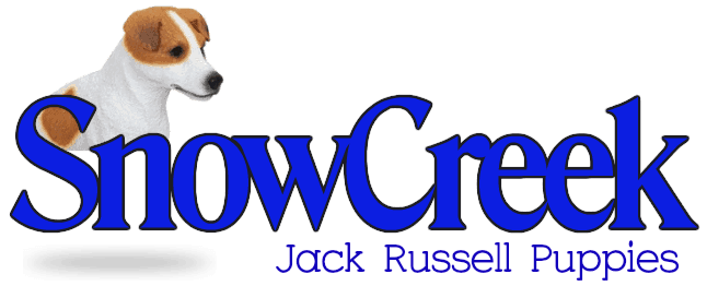 nødsituation finansiere Layouten Snow Creek Jack Russell
